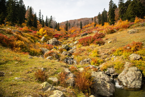 Грузия, Аджария